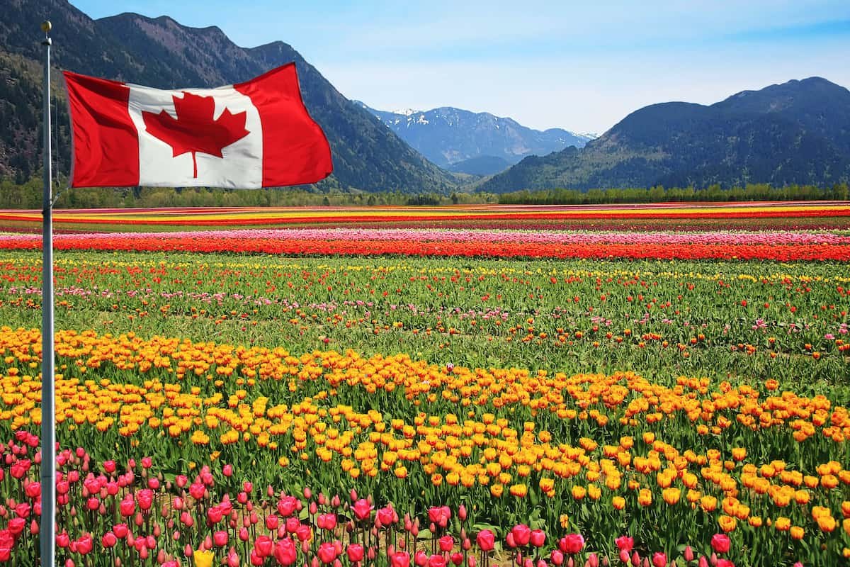 Canada–Pakistan Agricultural Trade and Cooperation: Growing Across Borders